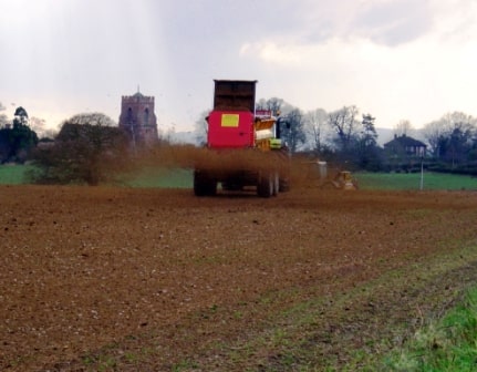 Процесс разбрасывания навоза